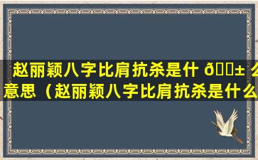 赵丽颖八字比肩抗杀是什 🐱 么意思（赵丽颖八字比肩抗杀是什么意 🐠 思啊）